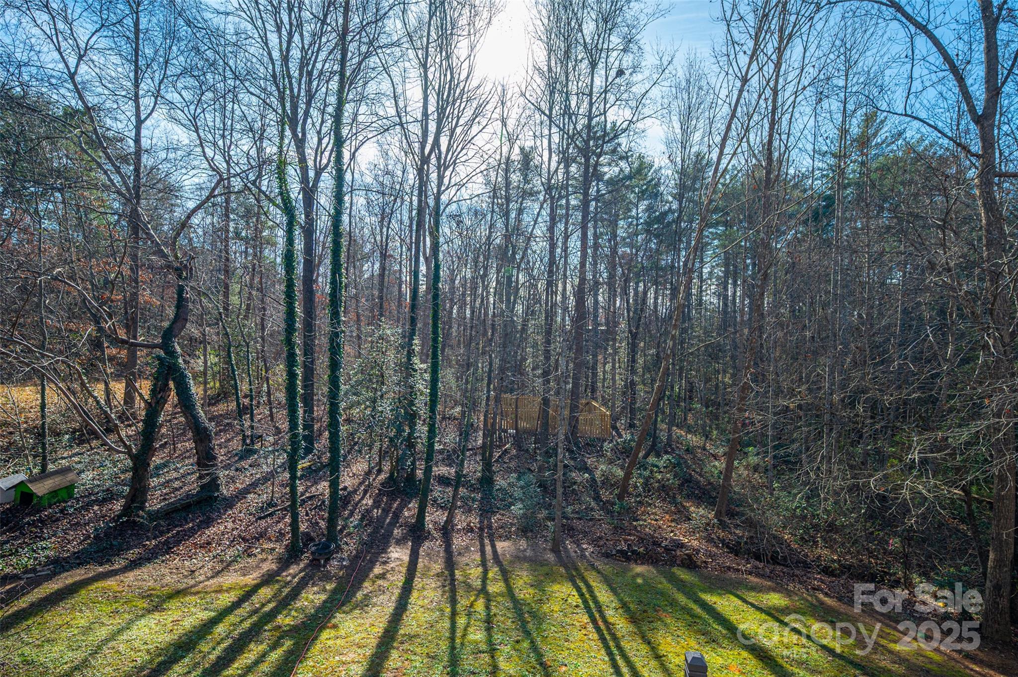 8830 Shepherd Court Connelly Springs NC 28612