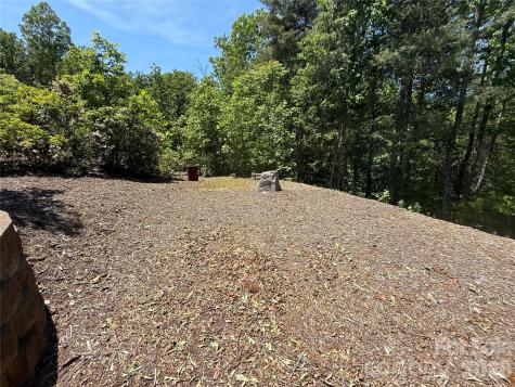 96 Boysenberry Drive Nebo NC 28761