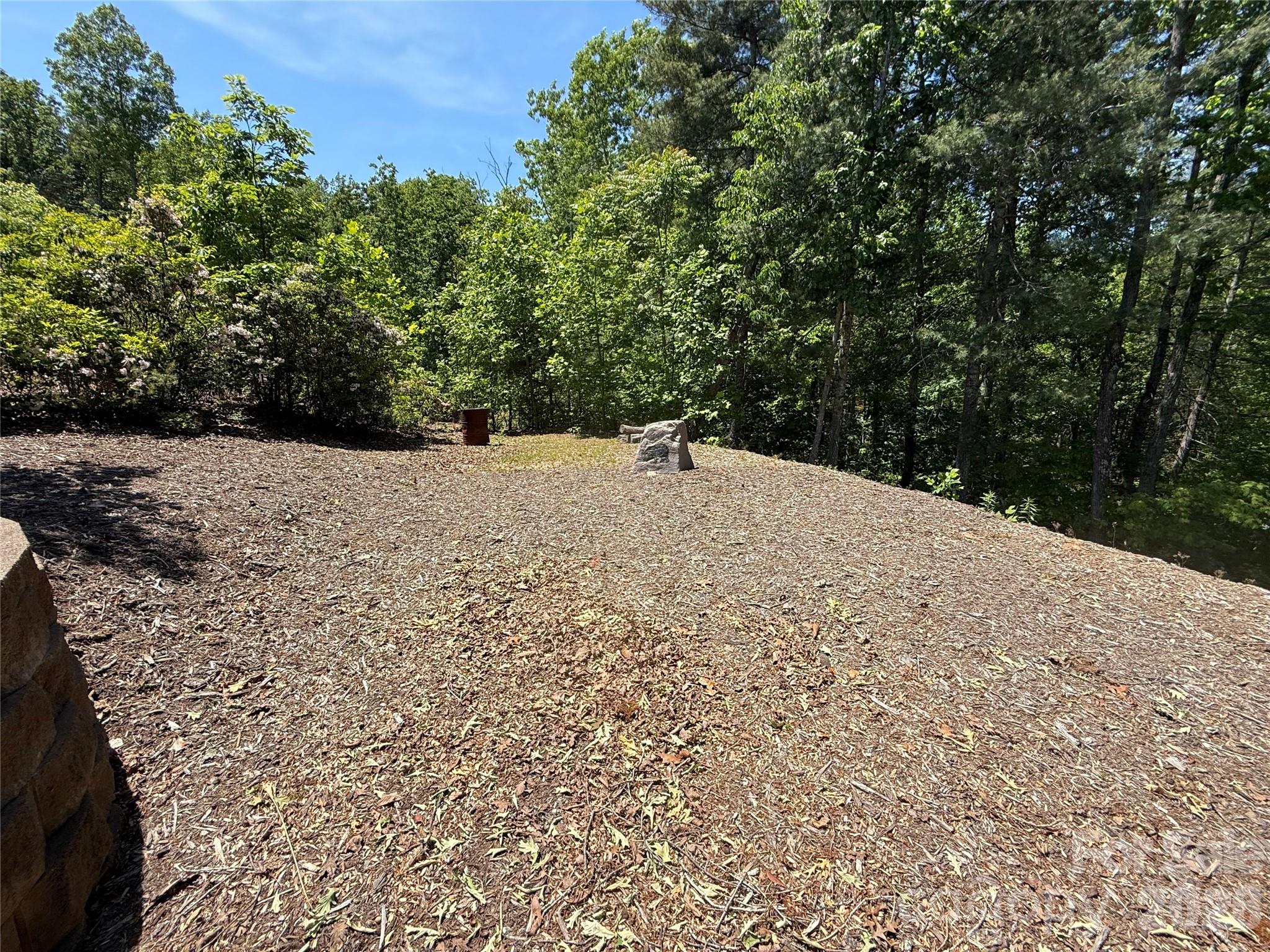 96 Boysenberry Drive Nebo NC 28761