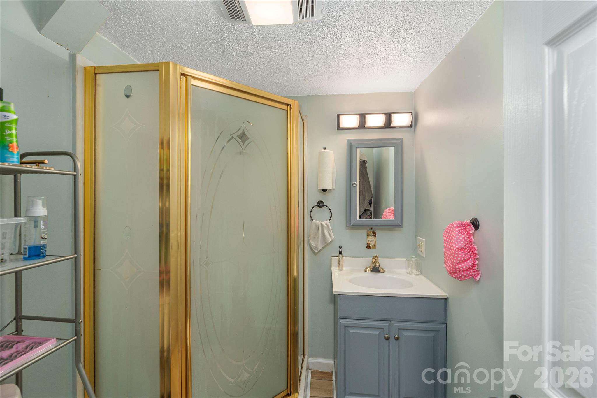 3415 Conleys Creek Road Whittier NC 28789