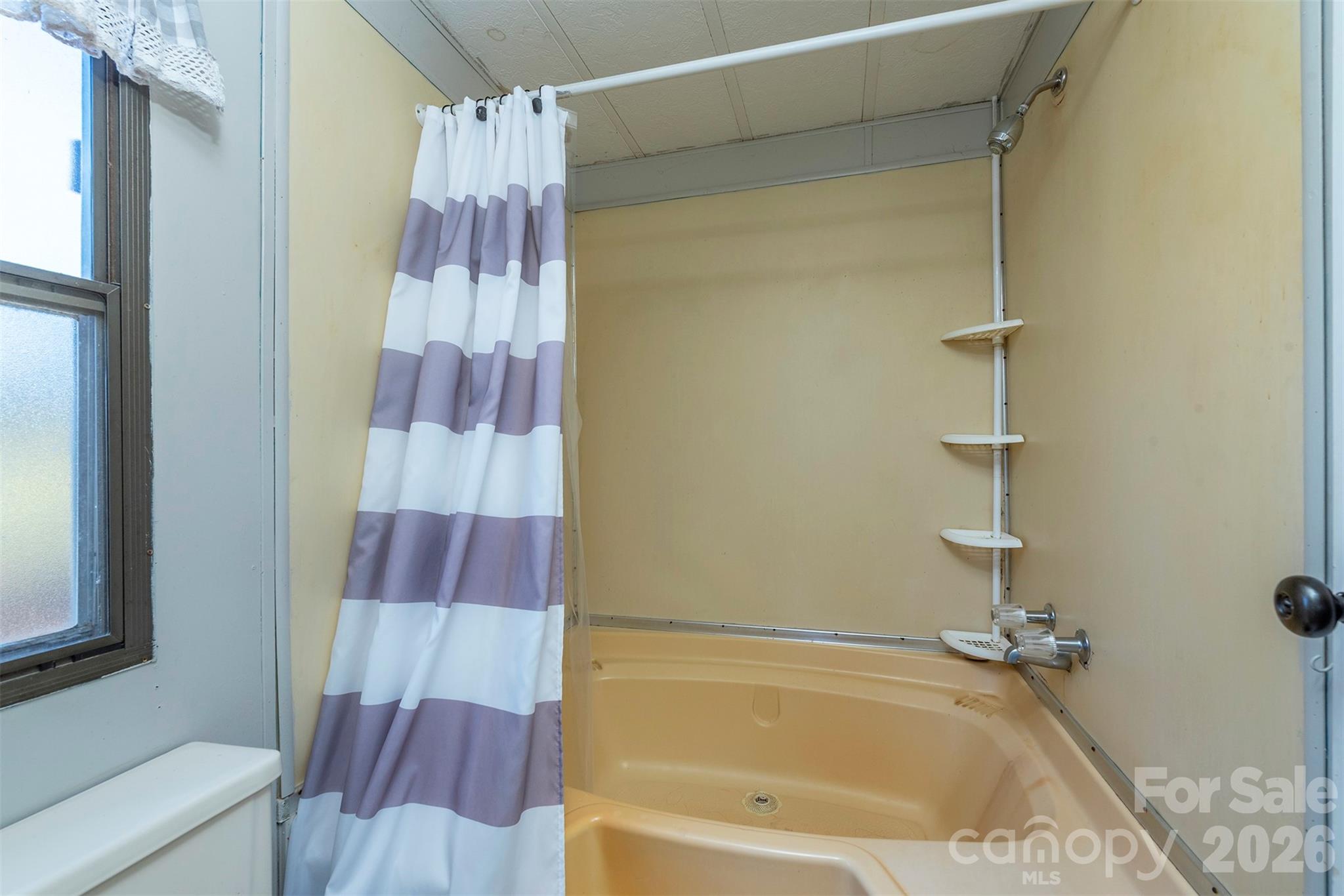 29 Moore Street Asheville NC 28804