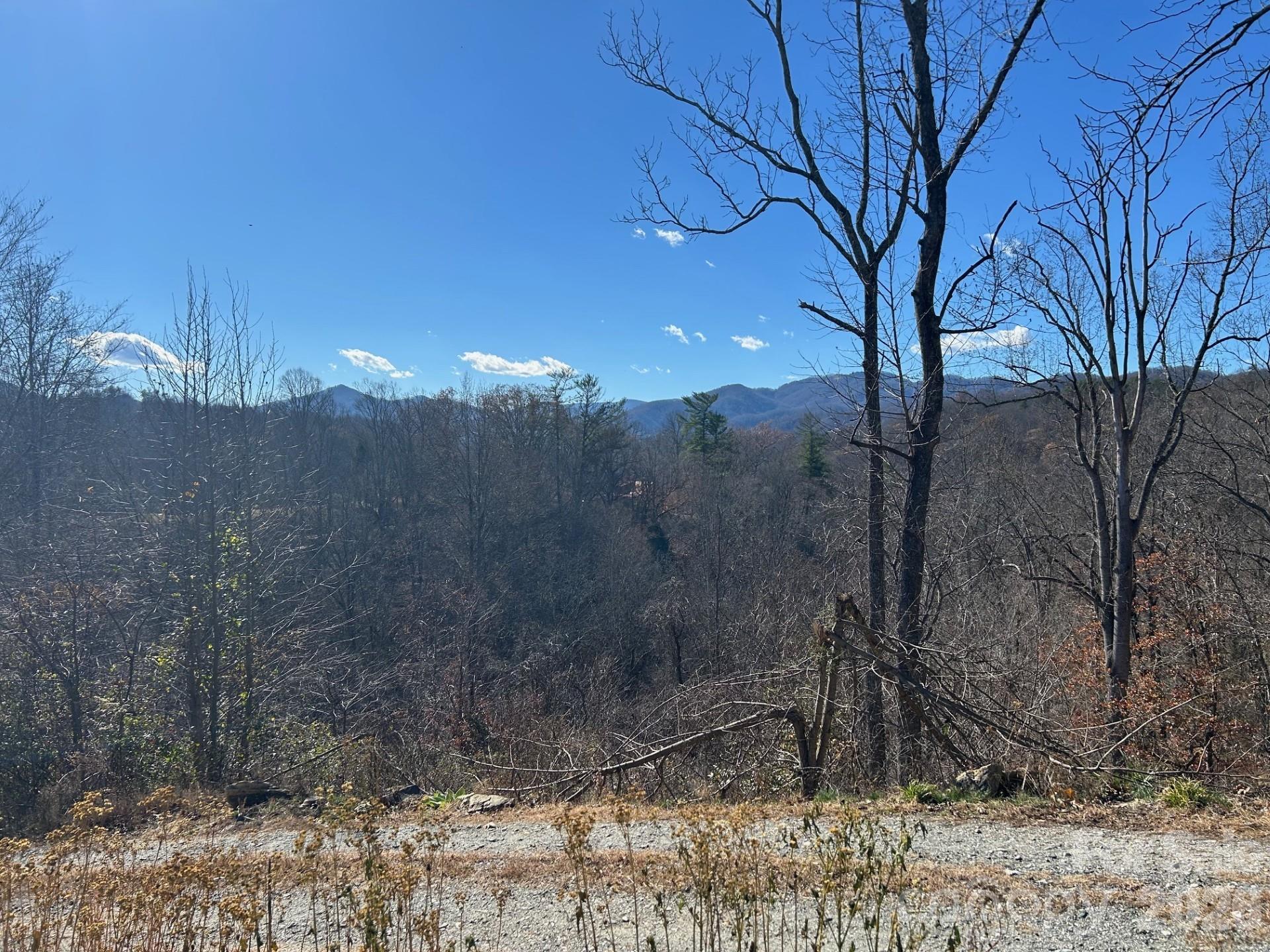 170 Starry Night Lane Marshall NC 28753