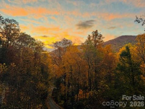 238 Texas Spur Road Montreat NC 28757