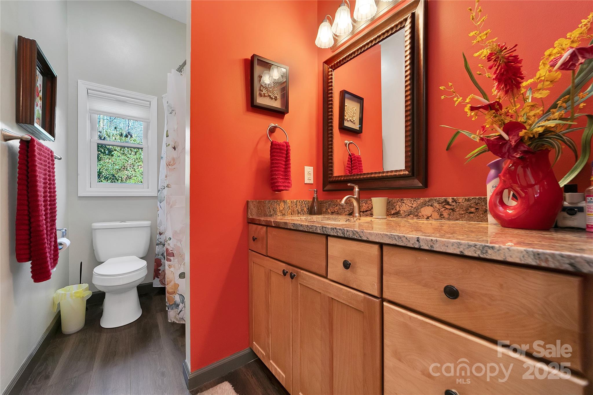 4 Unoga Court Brevard NC 28712