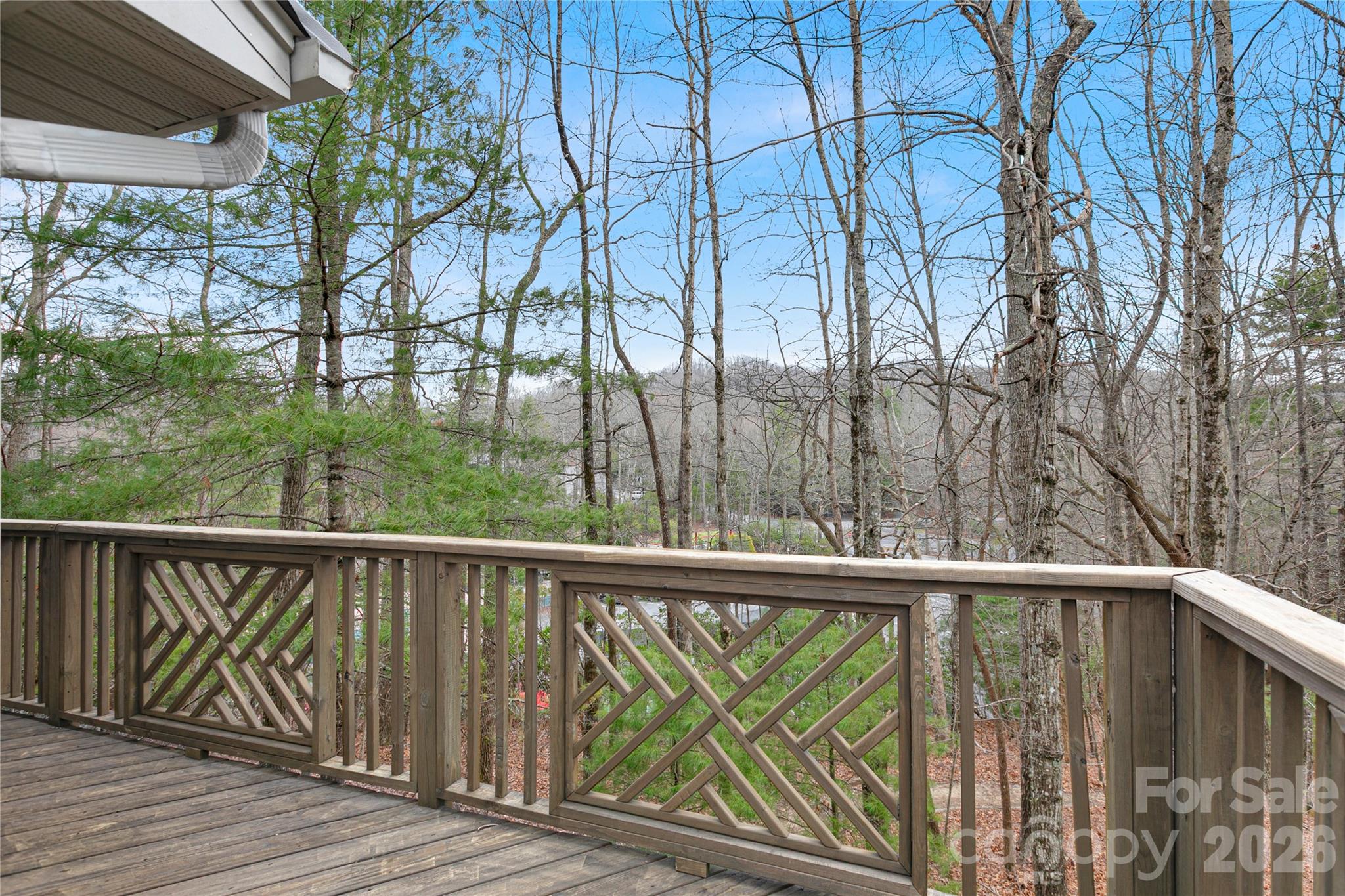 126 Udvawadulisi Court Brevard NC 28712
