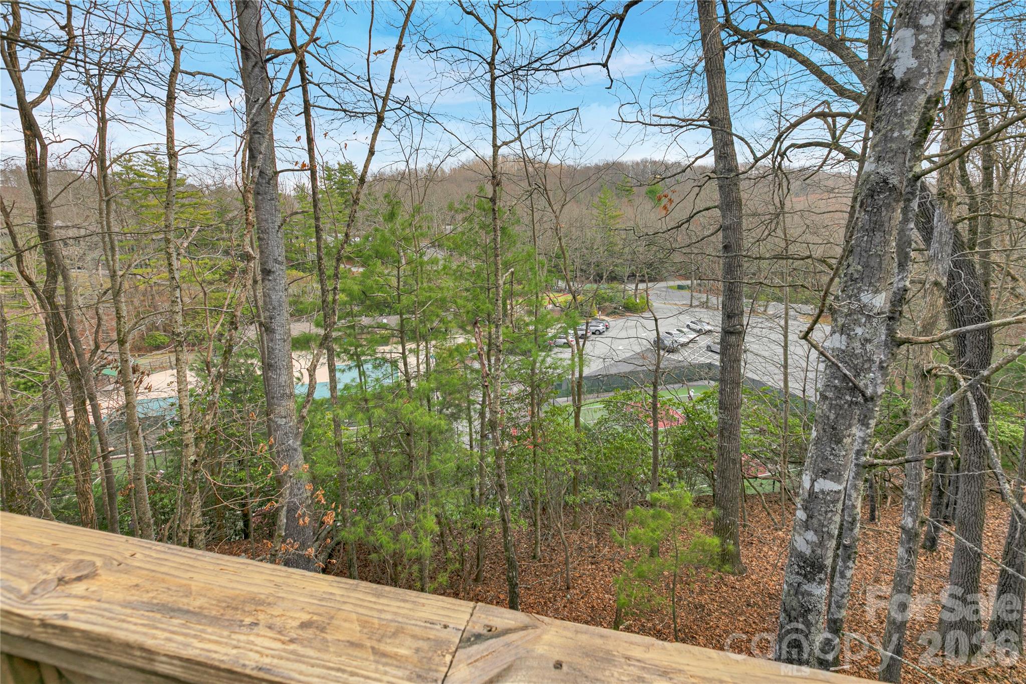 126 Udvawadulisi Court Brevard NC 28712