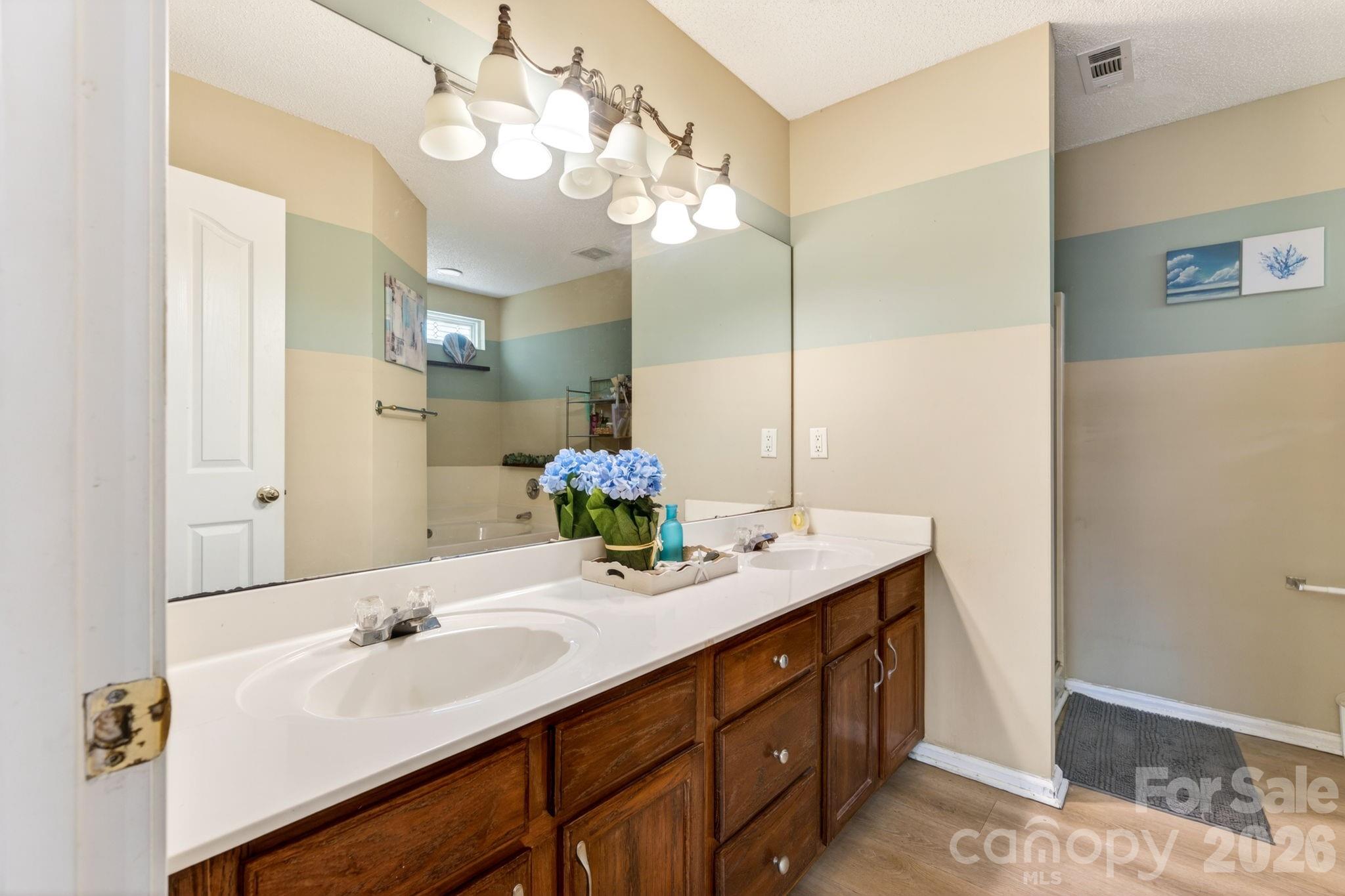 13908 Mcgloughlin Way Court Charlotte NC 28273