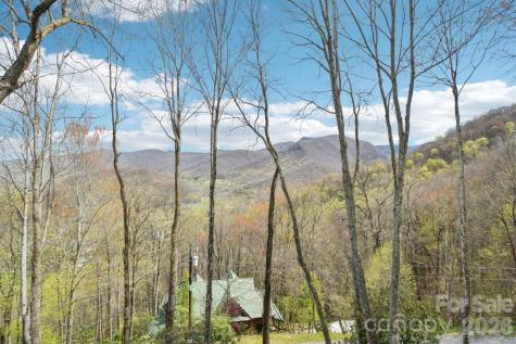 1426 Setzer Cove Road Maggie Valley NC 28751