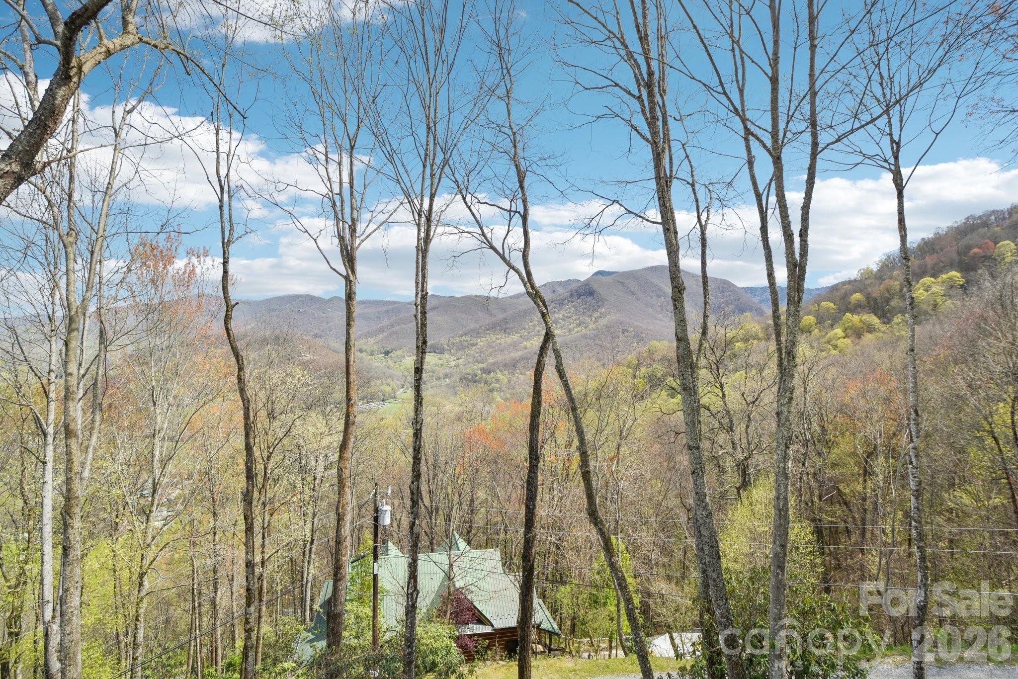 1426 Setzer Cove Road Maggie Valley NC 28751