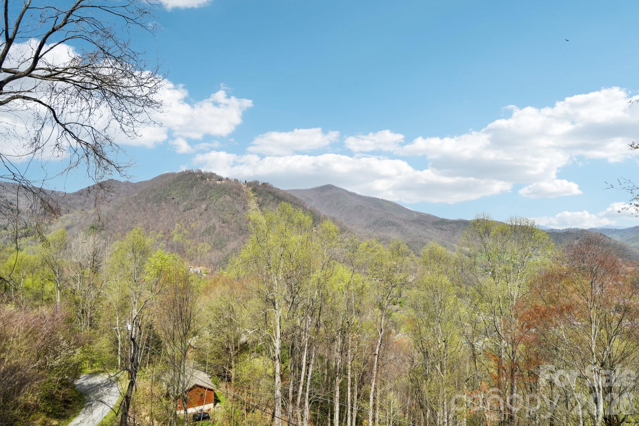 1426 Setzer Cove Road Maggie Valley NC 28751