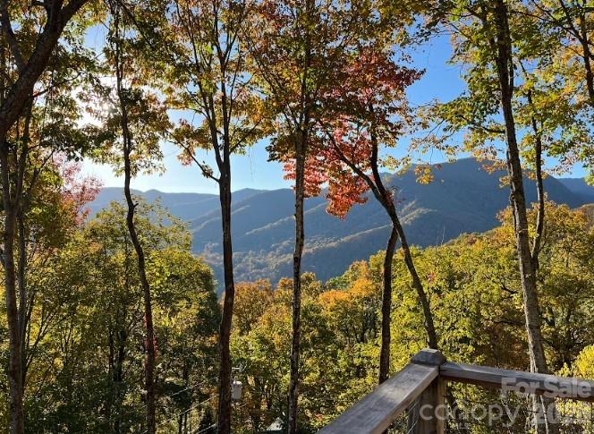 1426 Setzer Cove Road Maggie Valley NC 28751