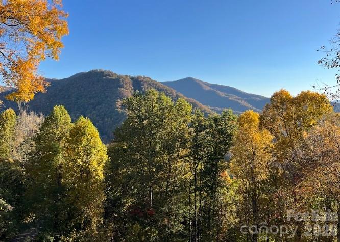 1426 Setzer Cove Road Maggie Valley NC 28751