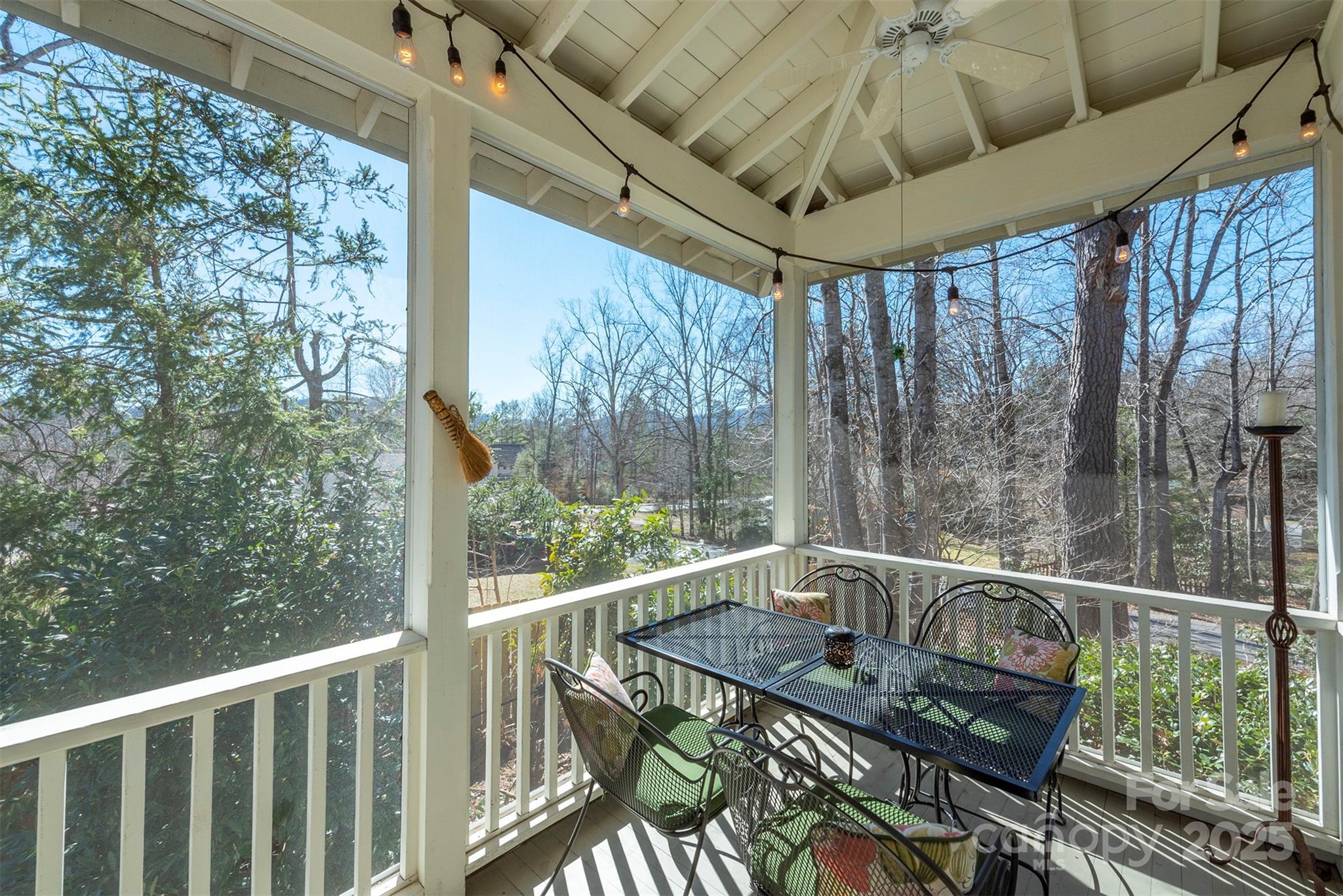 9 Lake Avenue Black Mountain NC 28711