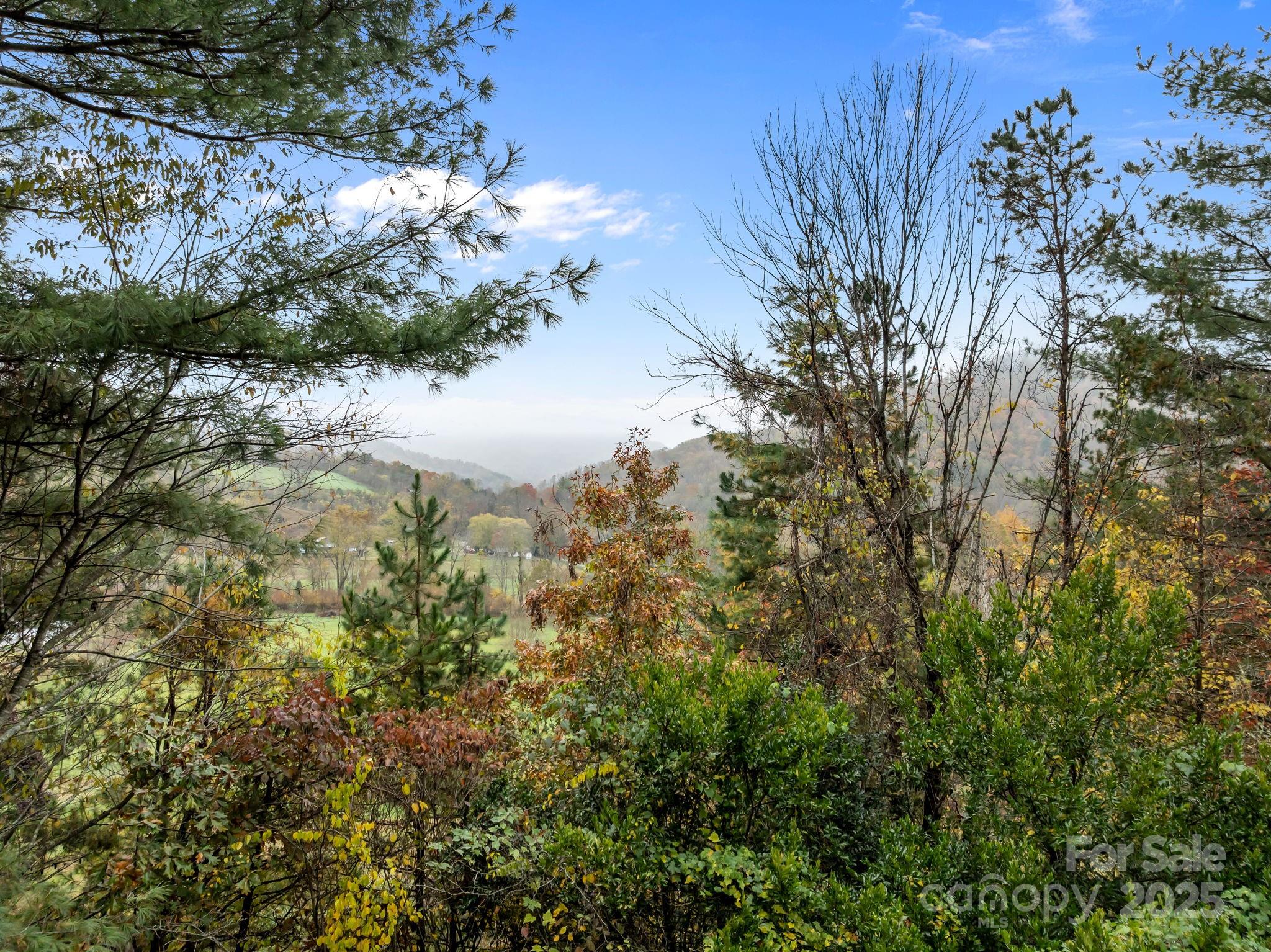 849 Reems Creek Road Weaverville NC 28787