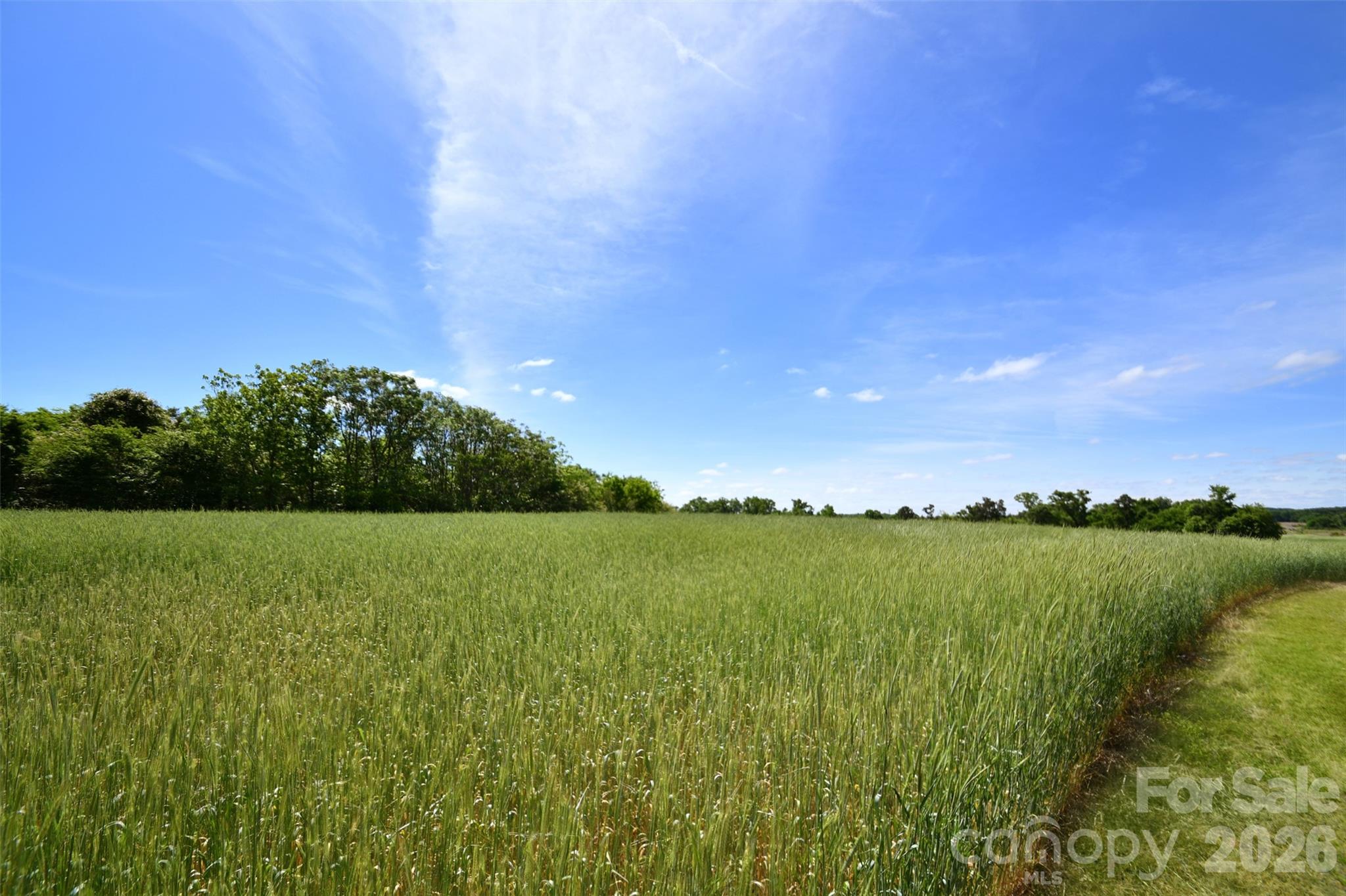 36276 Vick Road New London NC 28127