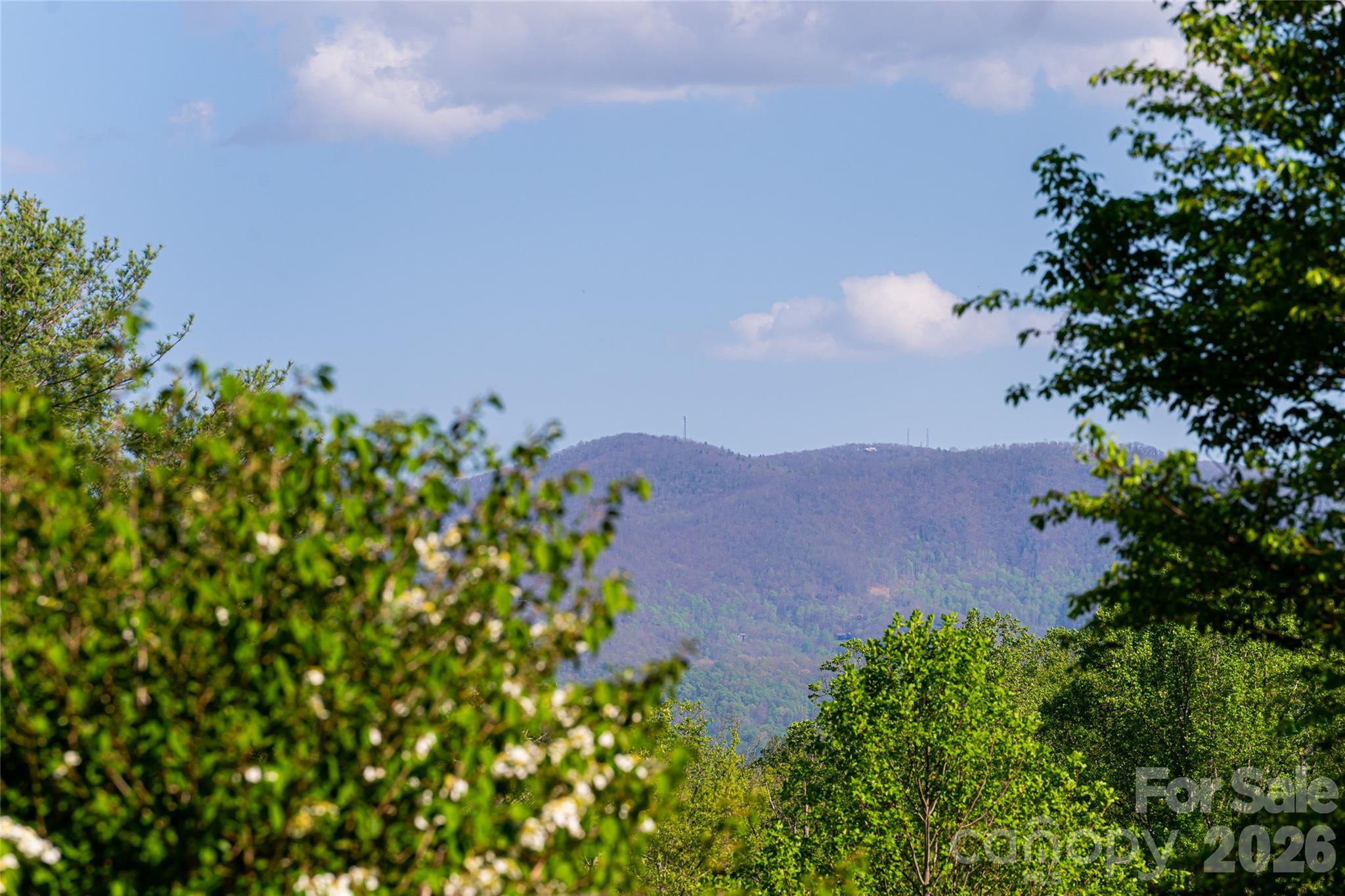 7 Ashley Road Asheville NC 28805