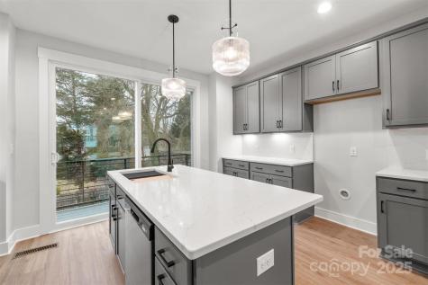 1425 Collier Walk Alley Charlotte NC 28205