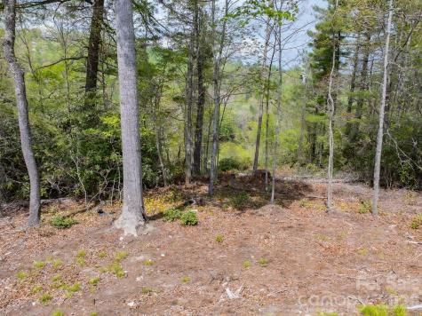 1971 Swiss Pine Lake Drive Spruce Pine NC 28777