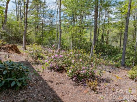 1971 Swiss Pine Lake Drive Spruce Pine NC 28777