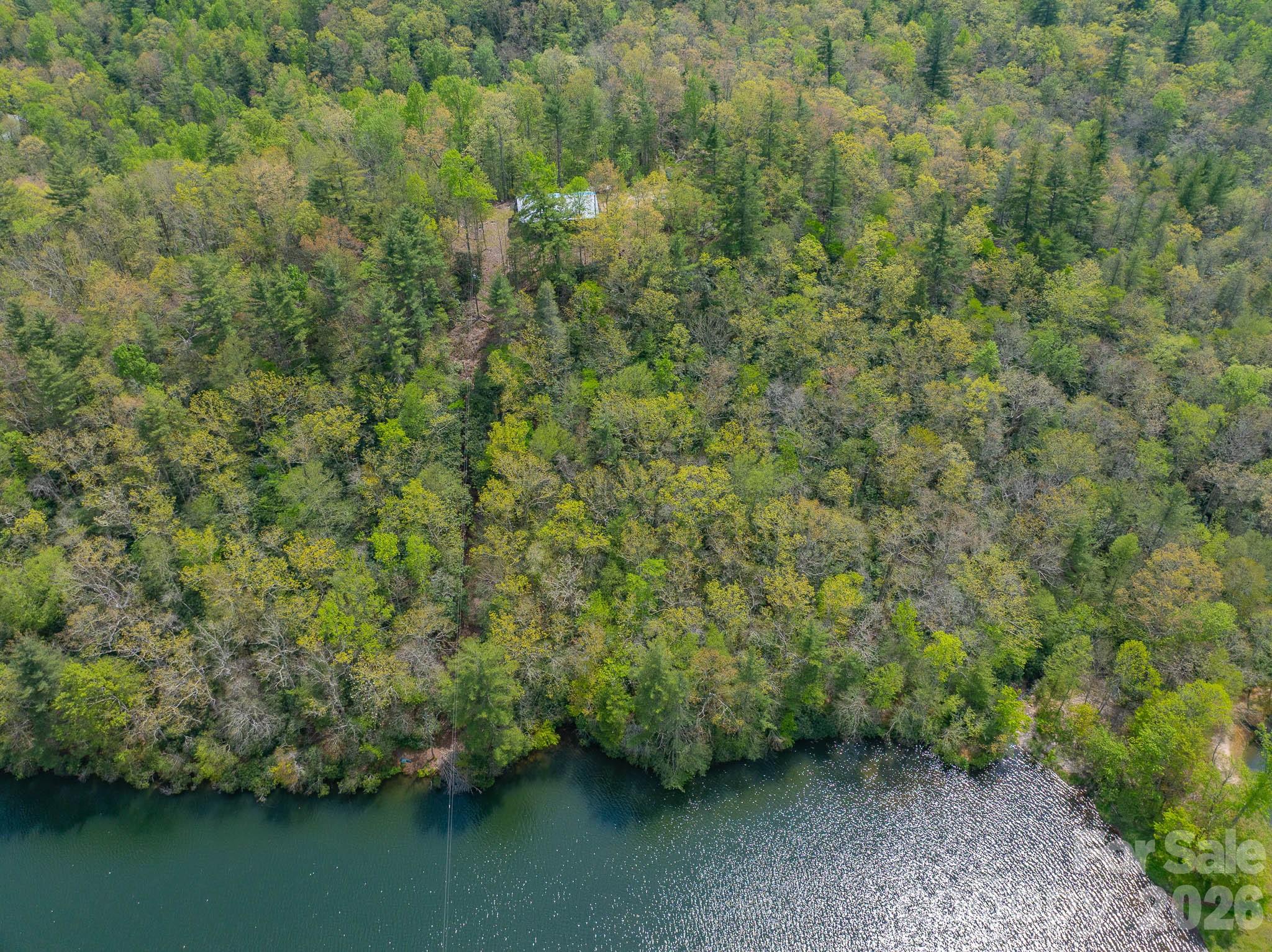 1971 Swiss Pine Lake Drive Spruce Pine NC 28777