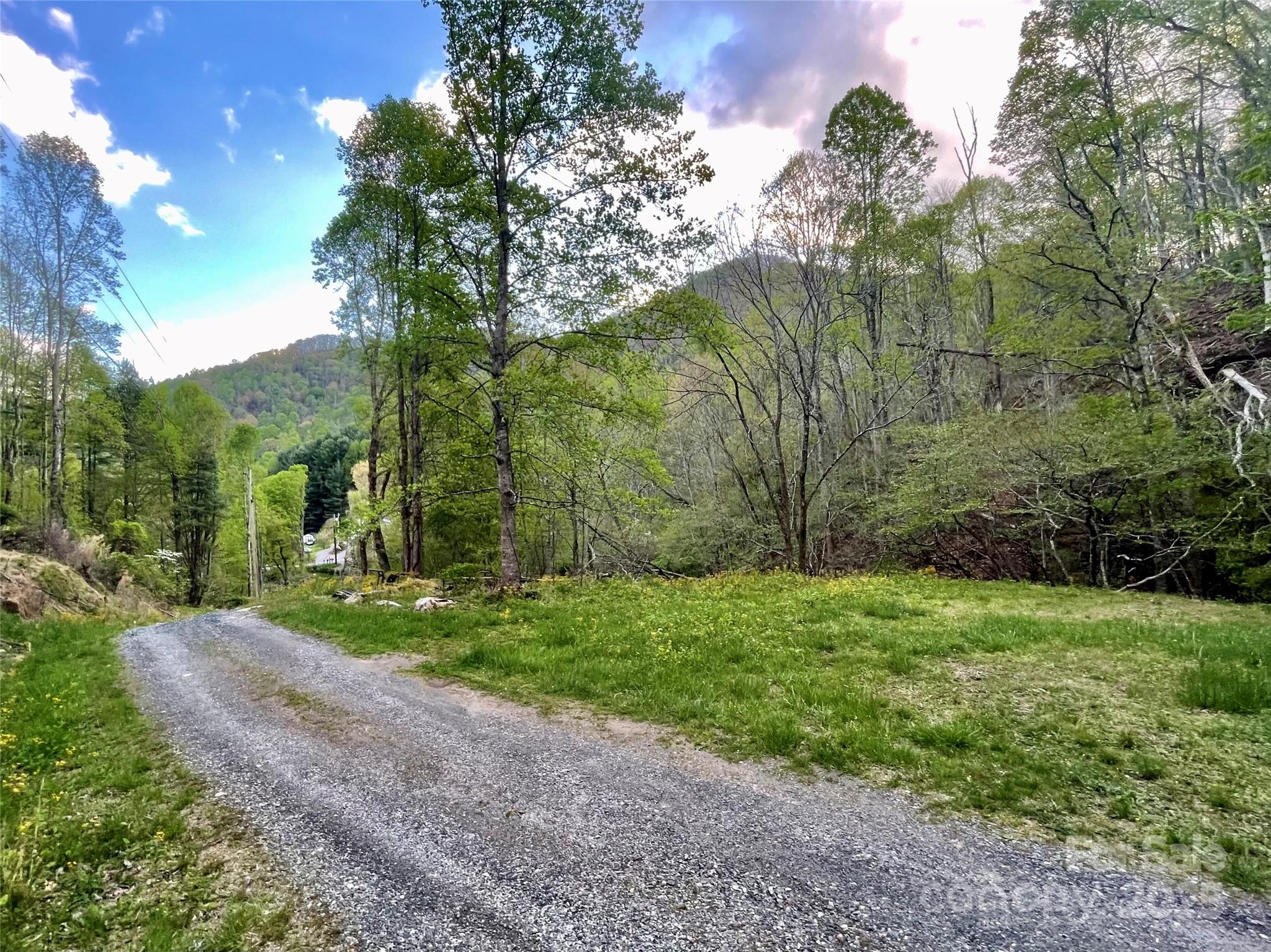 784 Fred Holcombe Road Mars Hill NC 28754