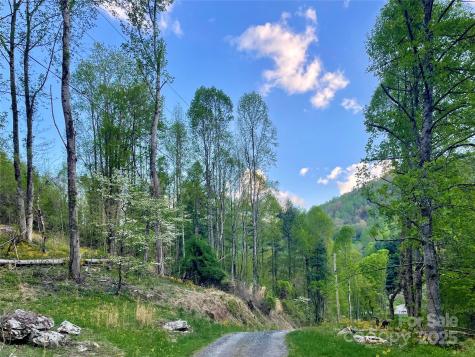 784 Fred Holcombe Road Mars Hill NC 28754
