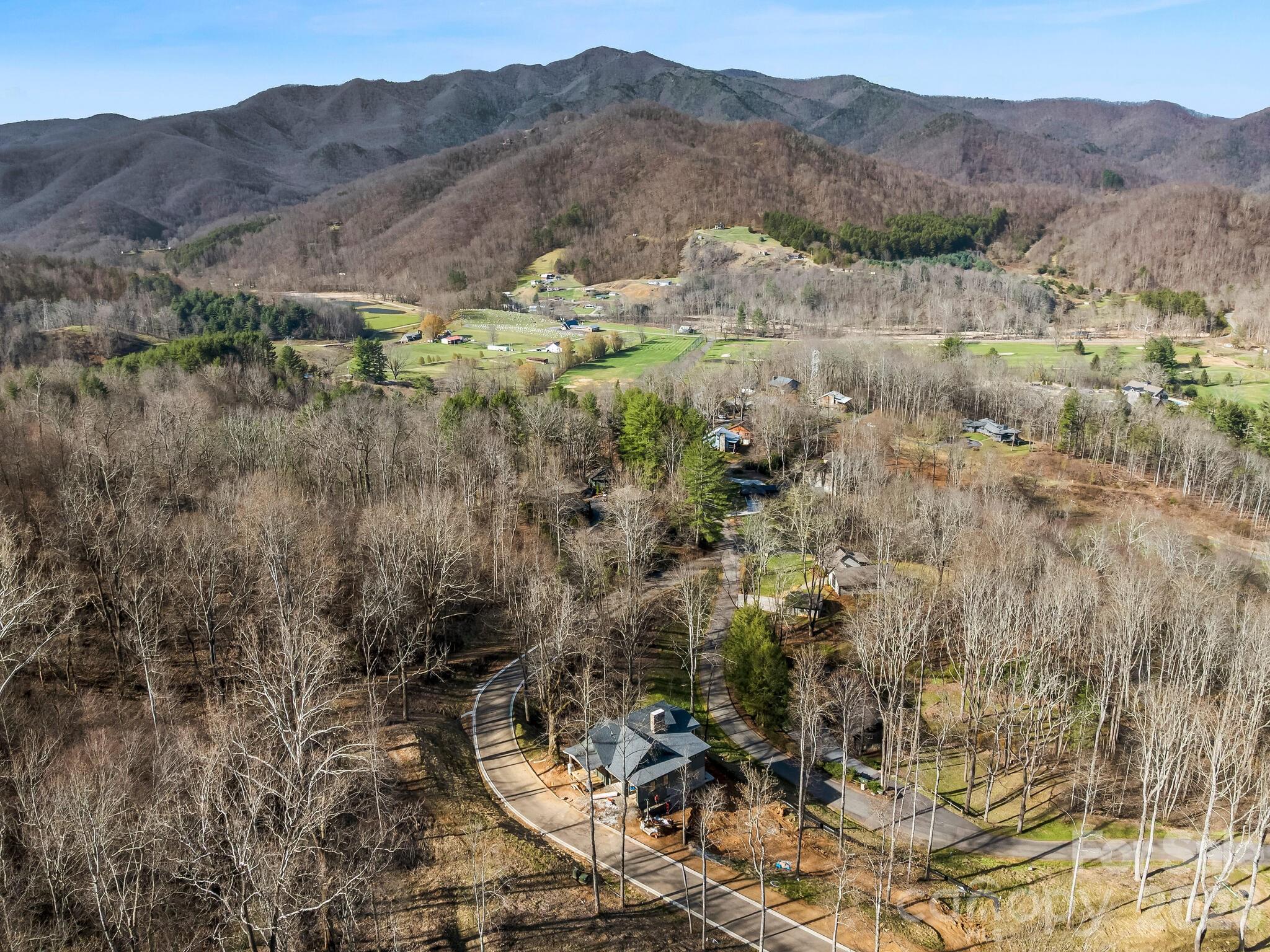 51 Bear Tree Cove Canton NC 28716