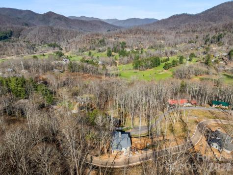 51 Bear Tree Cove Canton NC 28716