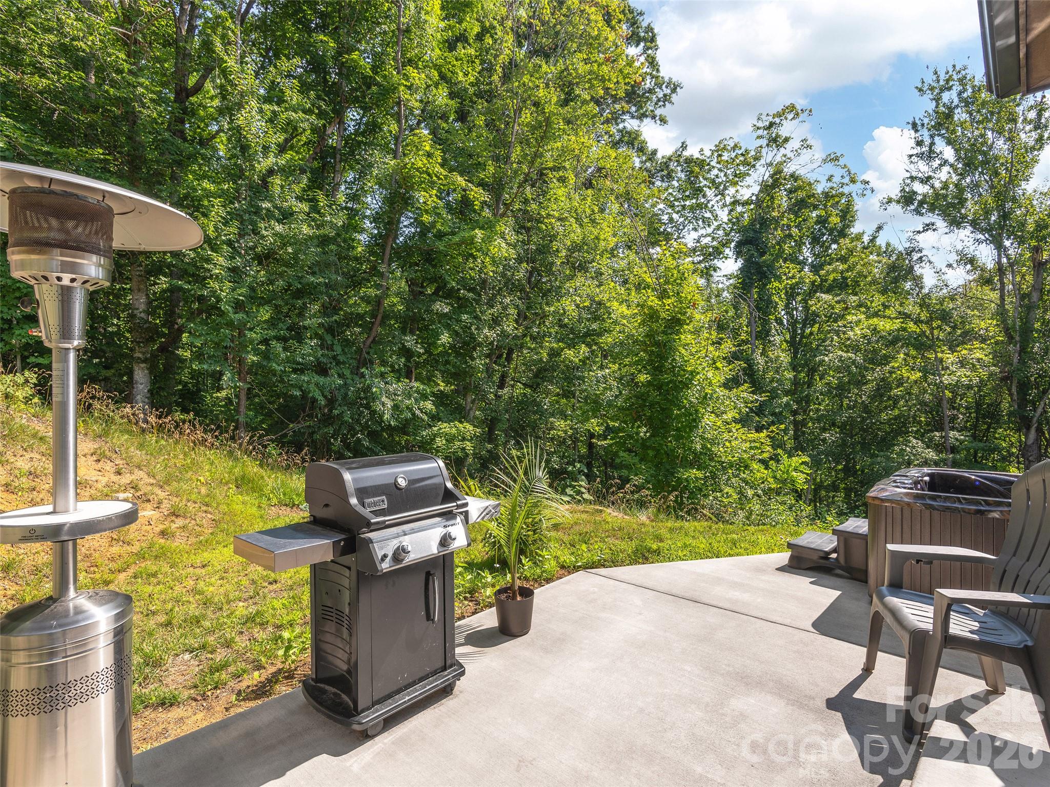 184 Sandys Home Place Mars Hill NC 28754
