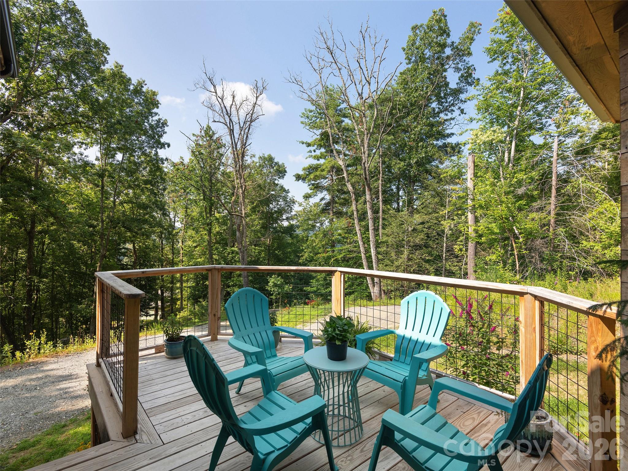 184 Sandys Home Place Mars Hill NC 28754