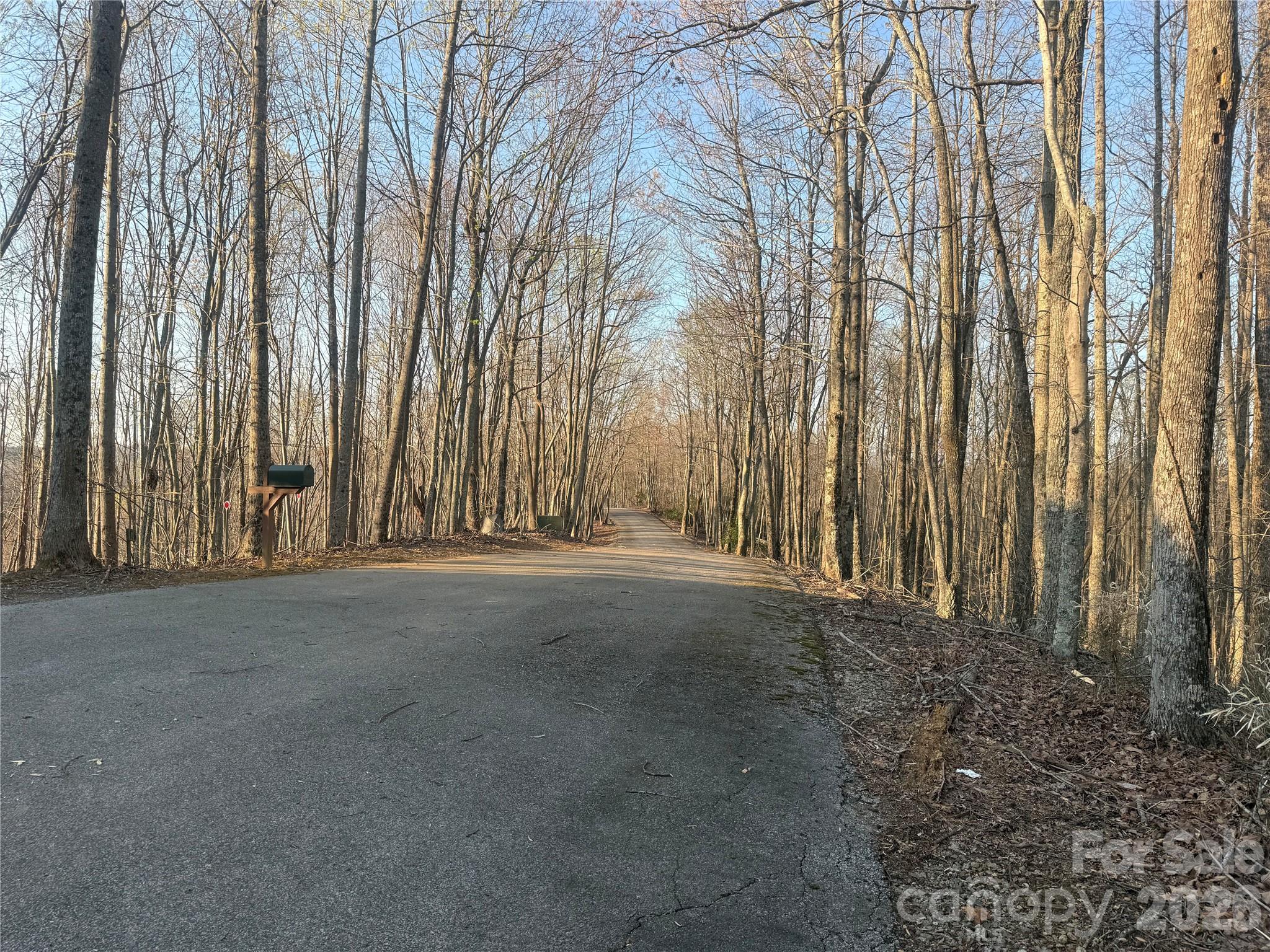 476 Double Eagle Drive Nebo NC 28761
