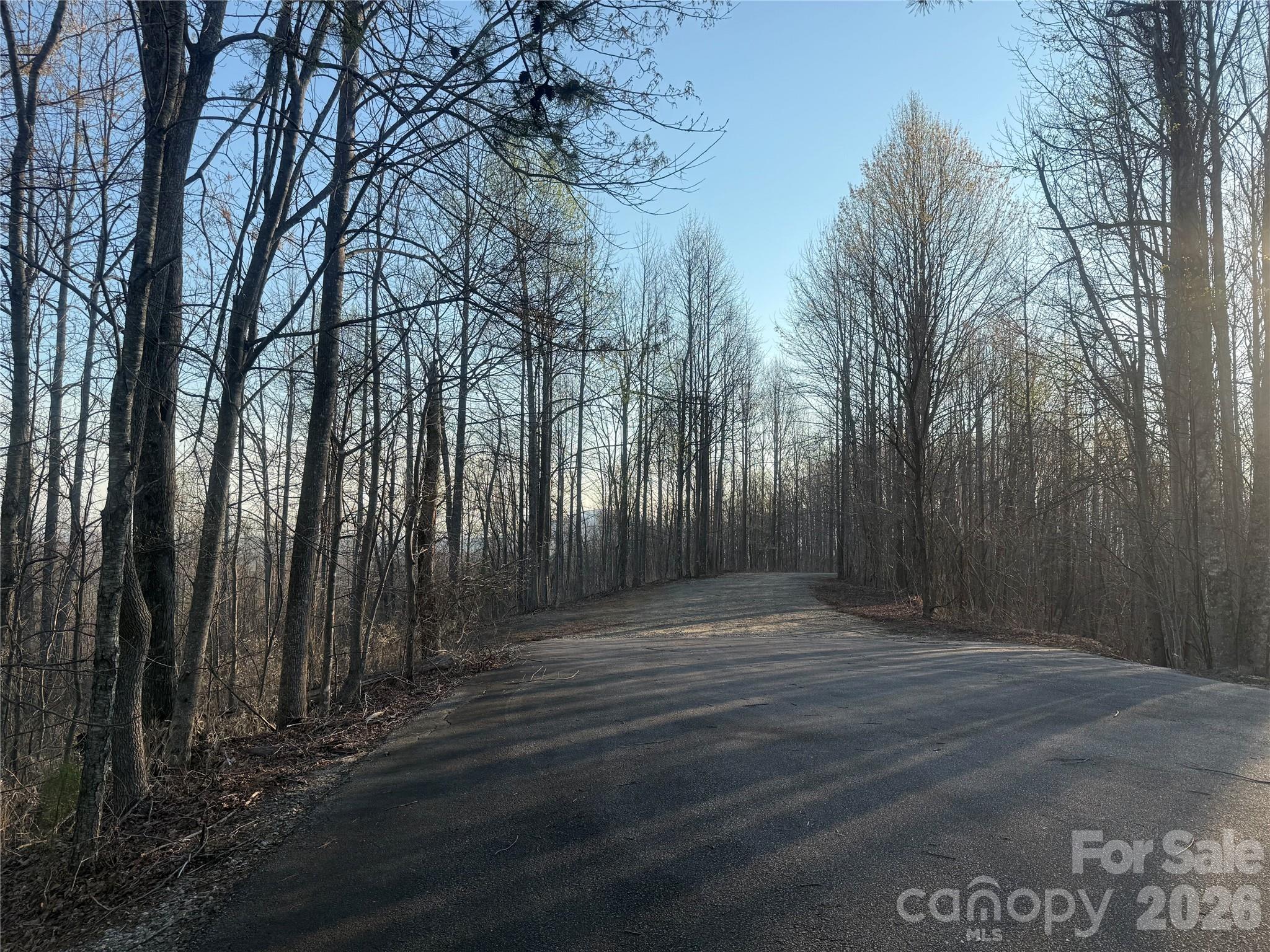 476 Double Eagle Drive Nebo NC 28761