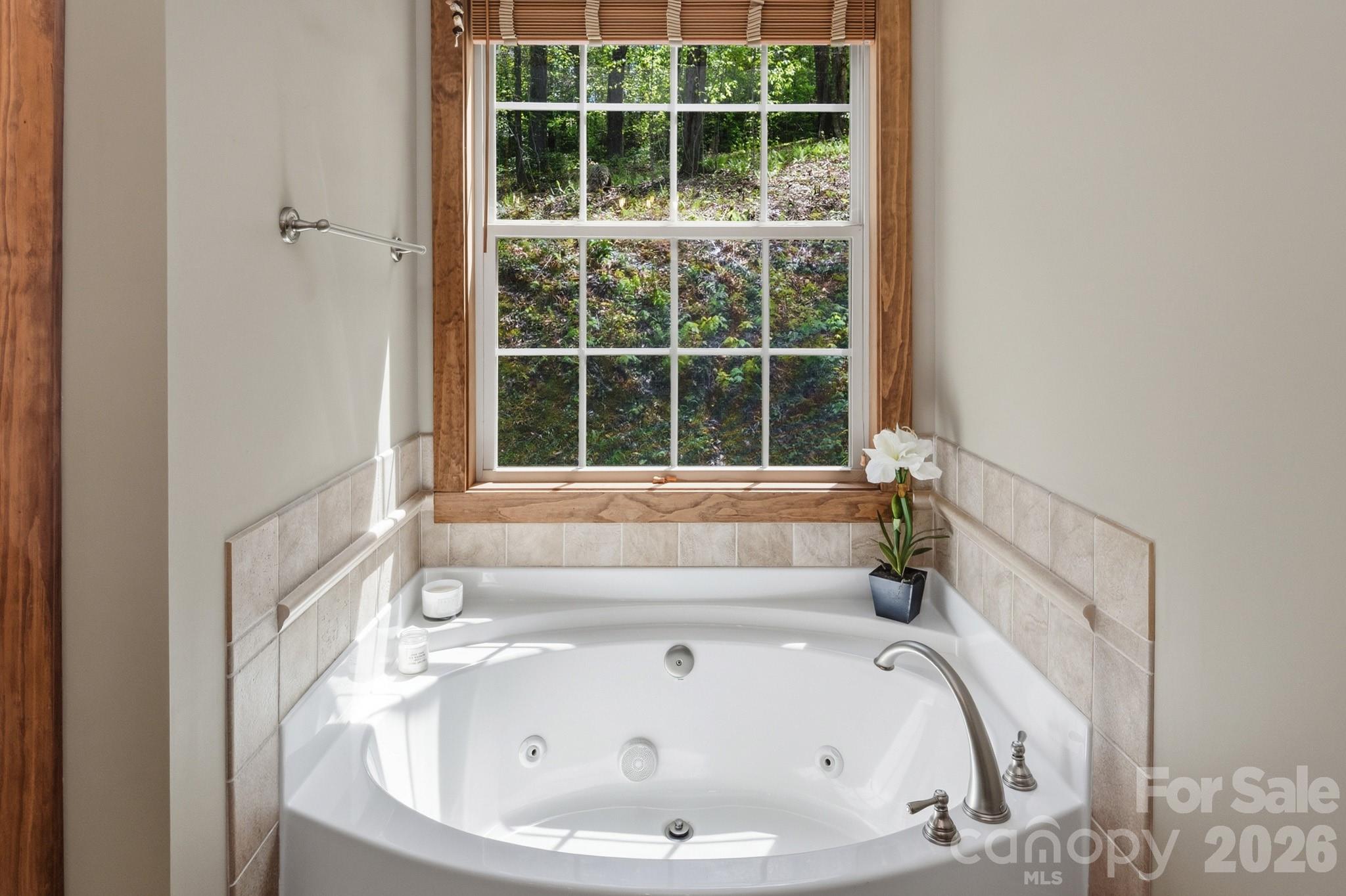 280 Bear River Lodge Trail Marshall NC 28753