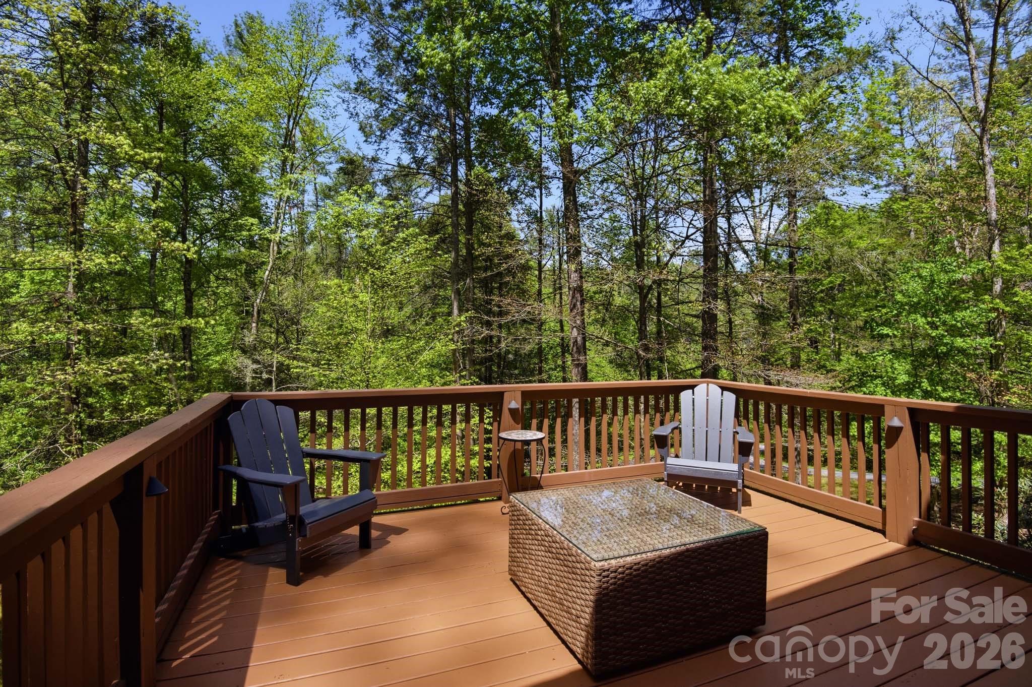 280 Bear River Lodge Trail Marshall NC 28753