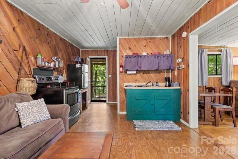264 Rebel Drive Hot Springs NC 28743