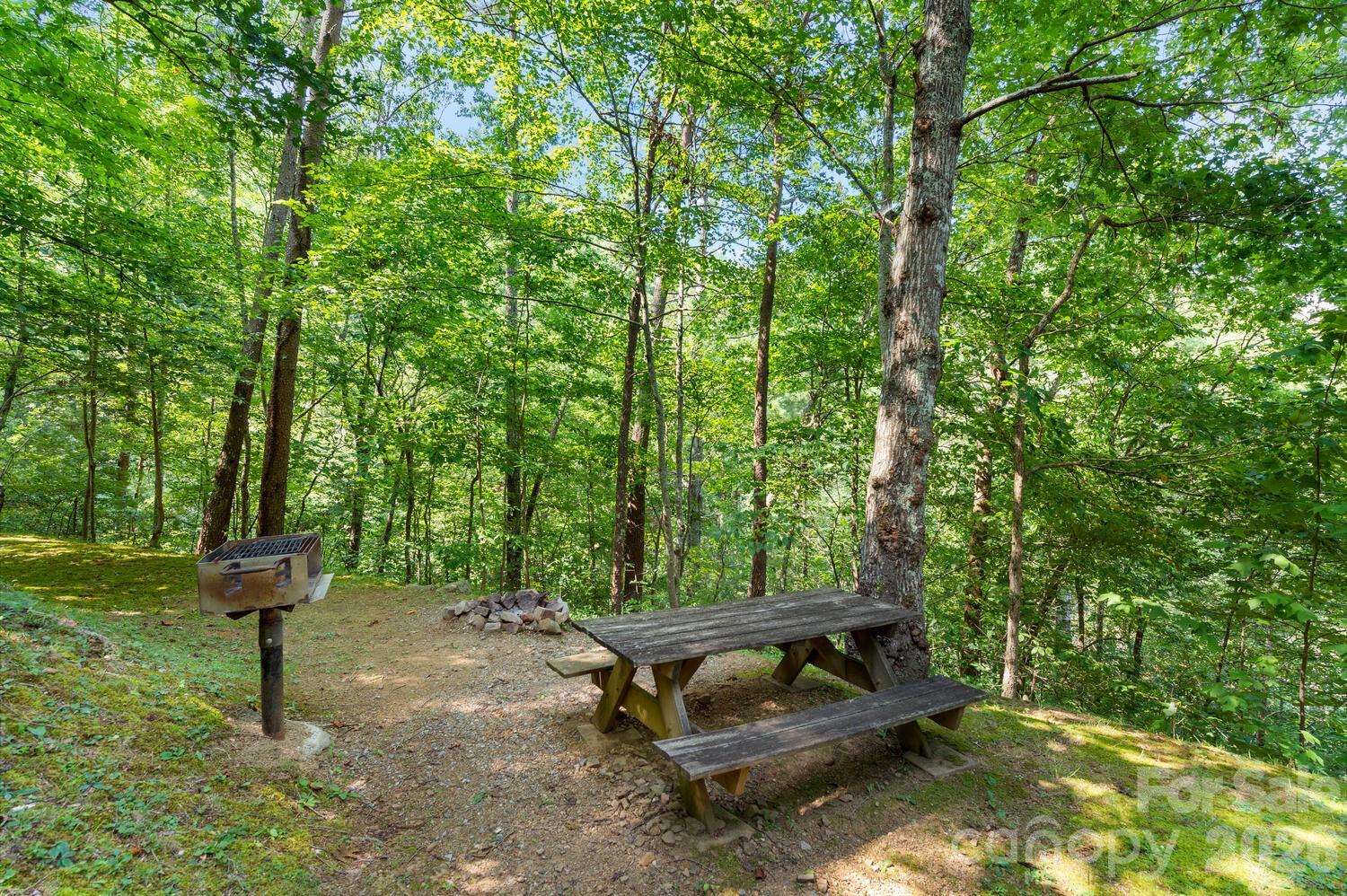 264 Rebel Drive Hot Springs NC 28743
