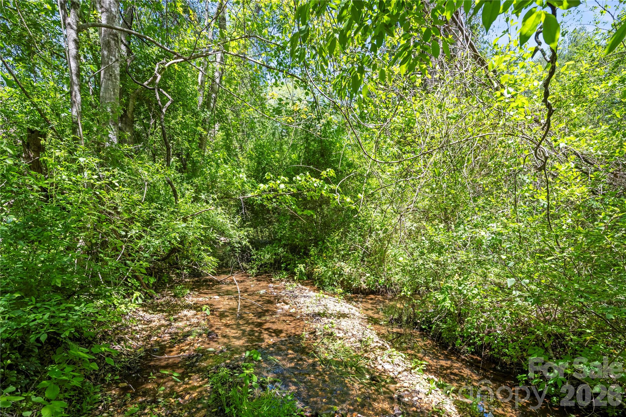 27 Sunview Circle Arden NC 28704