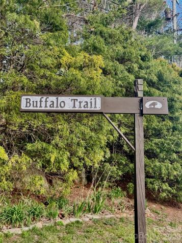 125 Buffalo Trail Asheville NC 28805
