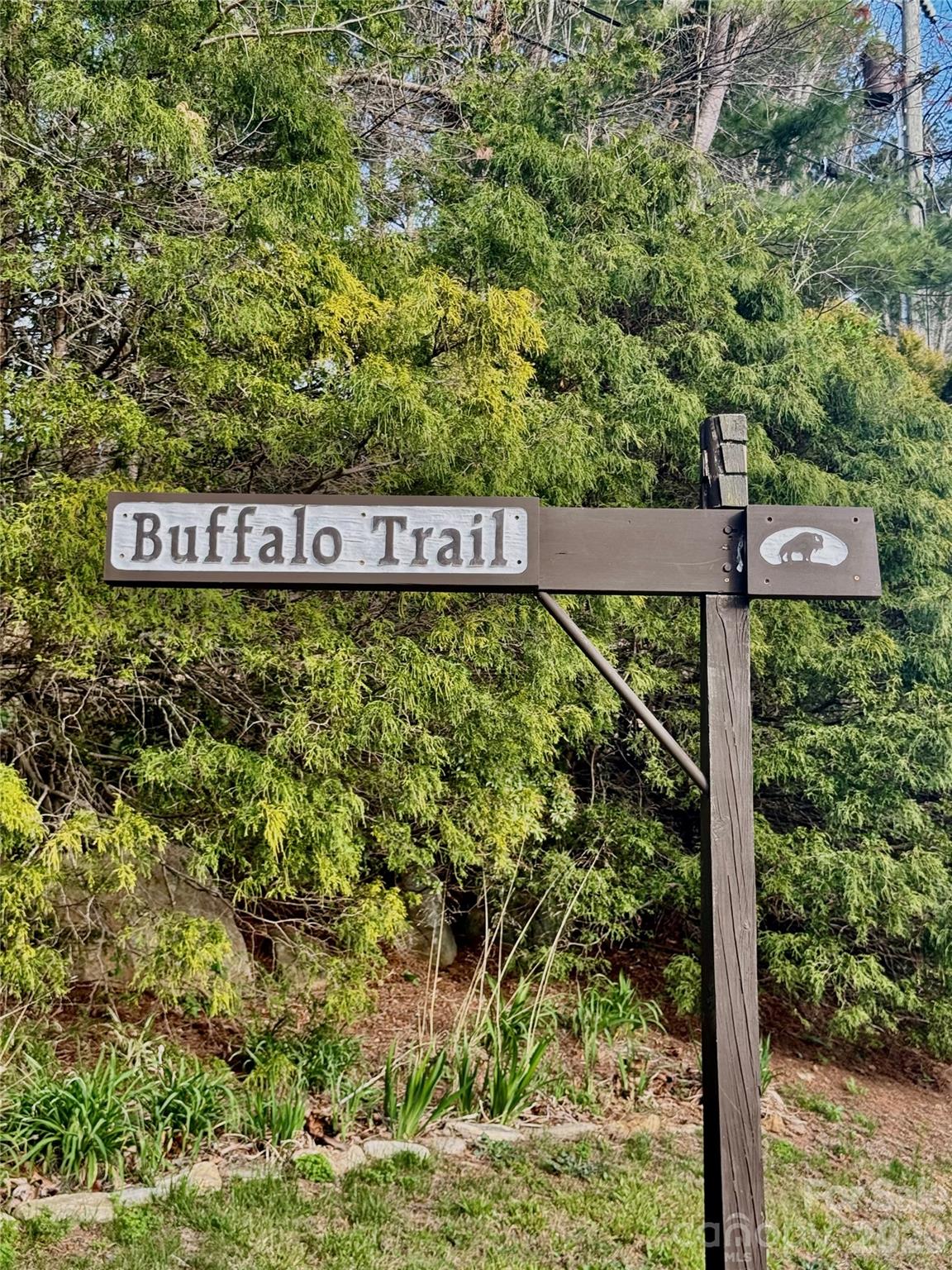 125 Buffalo Trail Asheville NC 28805