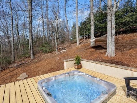 310 S Braeside Court Asheville NC 28803