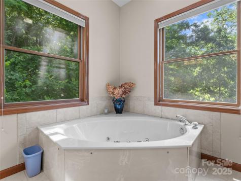 253 Sandy Lane Brevard NC 28712