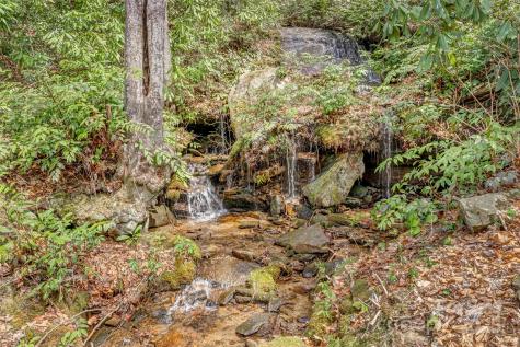 253 Sandy Lane Brevard NC 28712