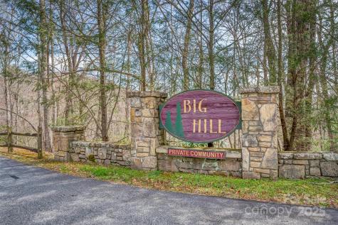 253 Sandy Lane Brevard NC 28712