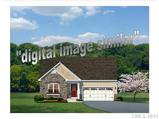 3598 Catherine Creek Place Davidson NC 28036