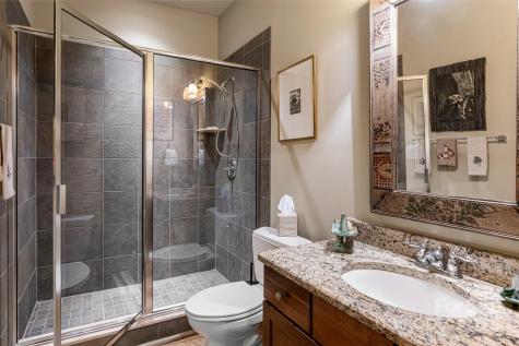 7 White Palmer Court Biltmore Lake NC 28715