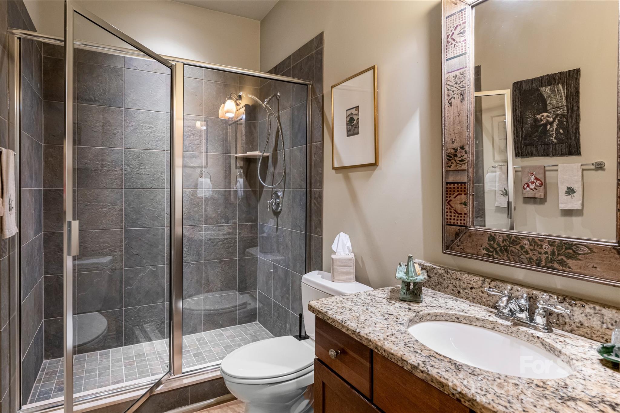 7 White Palmer Court Biltmore Lake NC 28715