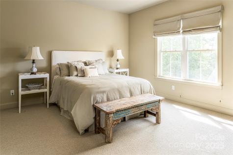 7 White Palmer Court Biltmore Lake NC 28715