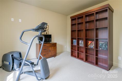 7 White Palmer Court Biltmore Lake NC 28715