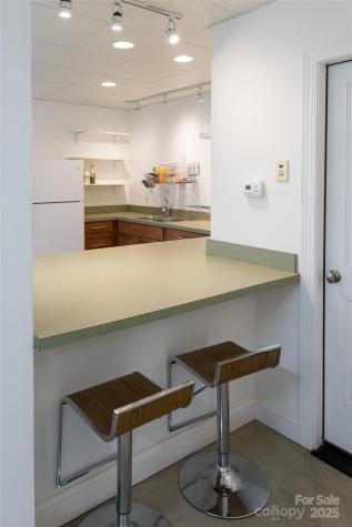 7 White Palmer Court Biltmore Lake NC 28715