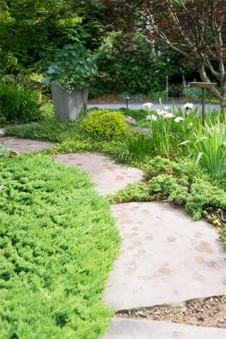 7 White Palmer Court Biltmore Lake NC 28715